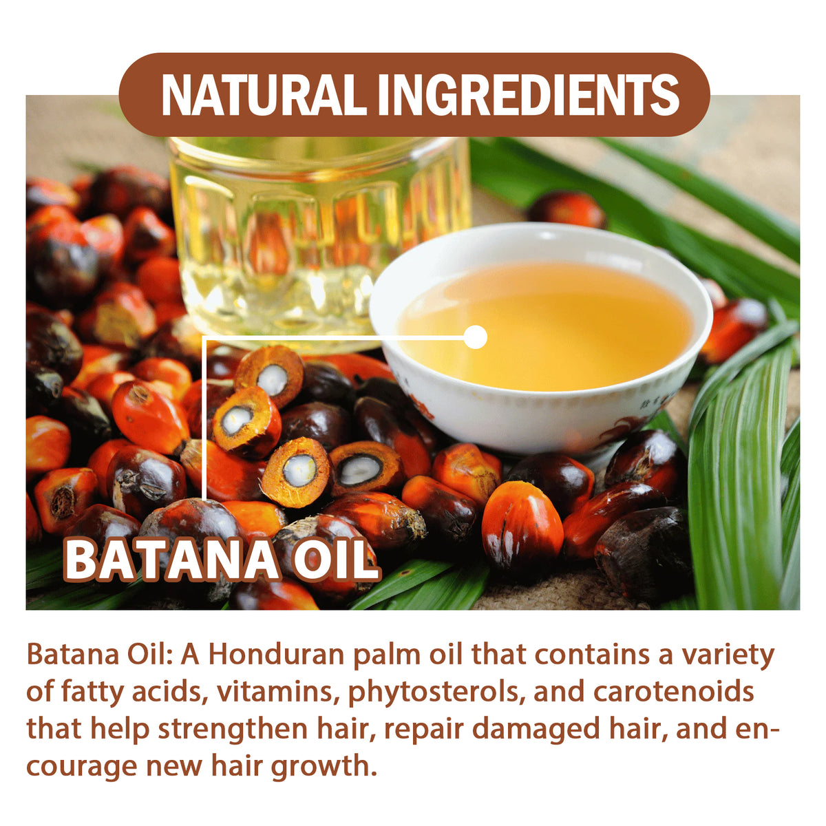 Fifuroes Batana Oil Conditioner Moisturizes, Hydrates, Improves Dry Hair, Softens And Fluffs Hair Care